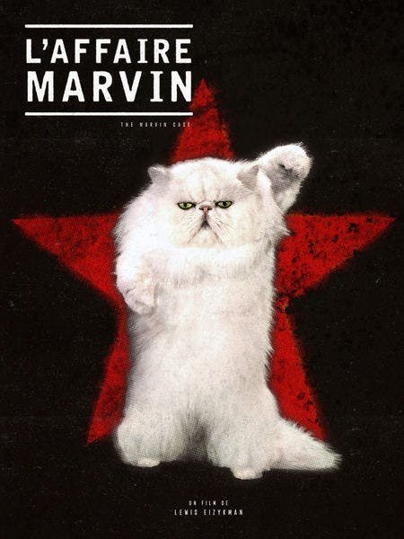 The Marvin Case