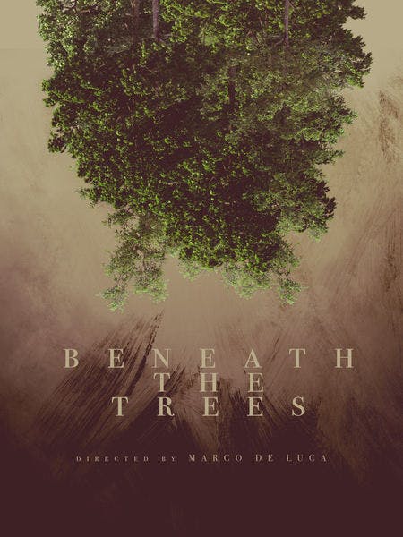 Beneath the Trees