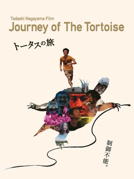 Journey of the Tortoise