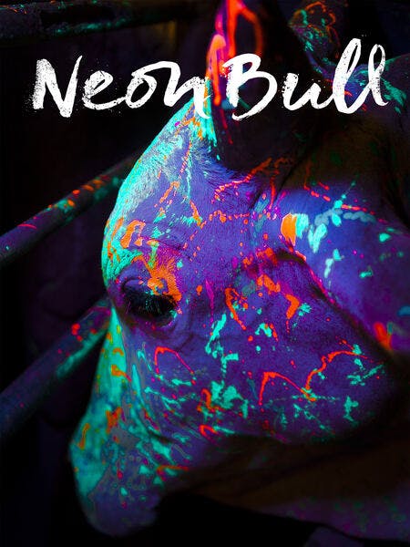 Neon Bull